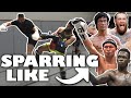 Sparring Impressions of Famous Martial Artists