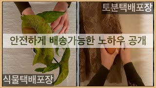 식물택배포장 , 토분택배포장 노하우 완벽하게 따라하기