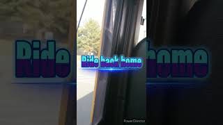 Daily bus rides 11-18-24