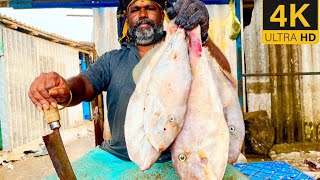 Seruppu meen cutting video/fishcuttingrs#fish #kasimedu #fishcuttingrs