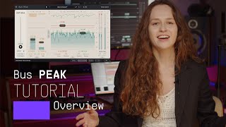 Tutorials | Bus PEAK - Overview