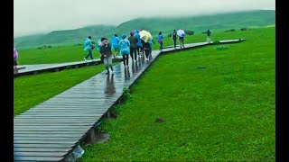 201505醉美北疆13日之旅(大雨中的那拉提大草原)