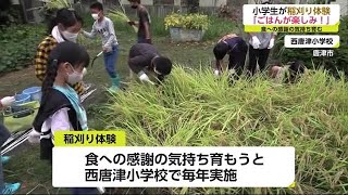 感謝の気持ち育んで 小学生が稲の収穫体験【佐賀県】 (21/10/13 18:45)