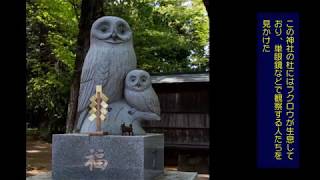 栃木県野木町野木神社の彫刻