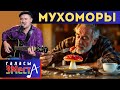 Мухоморы  -  Галасы ЗМеста