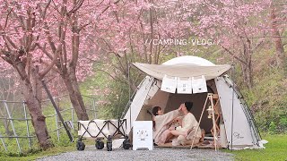 最美的櫻花露營。迷霧森林🌸Camping Vlog ep07。牛肉蔬菜湯咖哩/蜜汁刈包/烤香魚/烤番薯/辣肉醬熱狗堡/爆米花