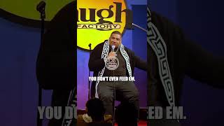 Ugly Babies Have Ugly Nicknames - Comedian Marvin Phipps - Chocolate Sundaes Comedy #shorts