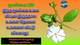 பவளமல்லி|பாரிஜாதம்|Nyctanthes Arbor Tristis|Pavalamalli|Parijatham|Alasal