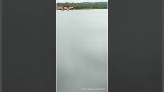 ಕಣ್ವ ಡ್ಯಾಮ್ kanwa dam water flow #youtubeshorts #shorts #shortsvideo maya jagattu kannada