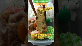 肉じゃが弁当 【今日のお昼ご飯】具沢山の玉子焼が贅沢♪ 2023/11/10