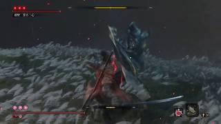 SEKIRO 隻狼：最終BOSS 8周目 苦難厄憑 No Damage