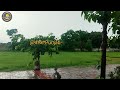 ਇੱਕ ਰੁੱਖ ਸੌ ਸੁੱਖ rain day 🌧️ the joy of the trees tree rainday viralvideo