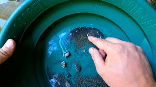 Crevicing A Large Crack! (Gold In Every Pan)