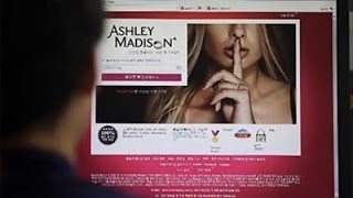 Experts Comment on Ashley Madison Hack