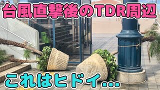 【速報】ディズニー\u0026舞浜駅周辺の台風の被害がヤバイ⁉️