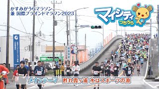 市政広報番組「マイシティつちうら」2023年5月1日～5月15日