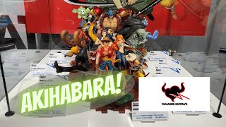 Tokyo Walk - Tamashii Nations Akihabara [ONE PIECE Event]