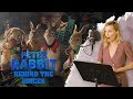 'Peter Rabbit' Behind The Voices