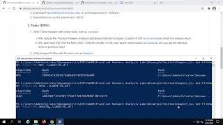 Lab08 Malware Analysis PartI: Basic Static Analysis
