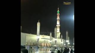 دیکھیں مدینہ منورہ کی حسین منظر  ماشاء اللٰہ      dekhen madeena munawara ke haseen manzar