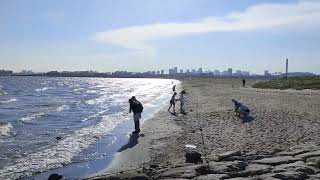 りんぐの今日の葛西臨海公園・西なぎさビーチの【2023.7.28】