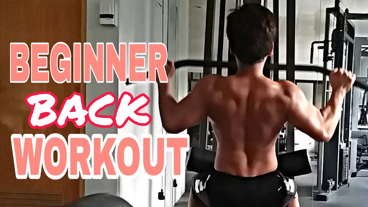 Back Workout For Beginner Tips Youtube