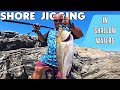 Shore Jigging Masterclass #6: Unlock the Best Fishing Depths Part 1: The Shallow Zone (0-15m)