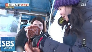 북에서 온 미녀들의 남쪽 체험기 - 고성 문어잡이 @모닝와이드 150226