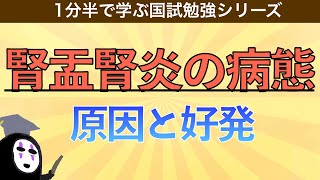 1分半で学ぶ国試勉強シリーズ「腎盂腎炎とは」原因や女性に多い理由をわかりやすく解説！