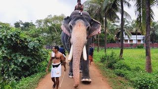 എറണാകുളം ശിവകുമാറും സാരഥിമാരും 🥰 | Ernakulam Sivakumar | Ernakulam Sivakumar Latest