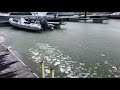 uk weather sea freezes over at isle of wight harbour bbc news