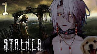 Aethel Plays S.T.A.L.K.E.R.: Shadow of Chernobyl - Part 1