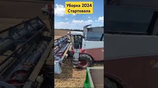 Уборка озимой пшеницы 2024 Стартовала