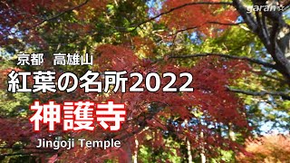 神護寺　京都紅葉の名所 2022