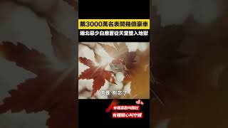 戴3000萬名表開幾億豪車，殘害中國同胞，緬北惡少白應蒼從天堂墜入地獄！【愛觀歷史】#白應蒼#历史故事 #緬北