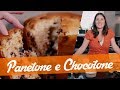 Panetone e Chocotone de Liquidificador (Fácil e rápido) - Carol Fiorentino