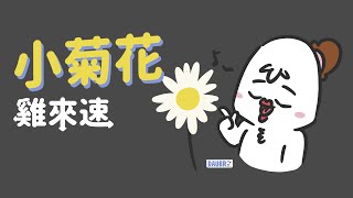 小菊花｜「雞來速」Podcast經典橋段