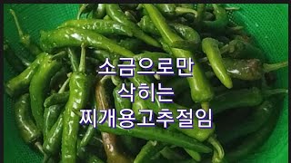 1년농사소금고추절임 쉽고간단하지만 찌개에 넣으면 맛업그레이드시키는  소금고추절임삭히기#집밥 #레시피 #food #cooking #저장식품#맛집 #요리