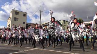 「愛知淑徳大学 鳴踊」バサカニ2017【浪花駐車場会場】