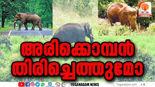 തന്റെ പഴയ തട്ടകമായ ചിന്നക്കനാലിലേക്ക് അരിക്കൊമ്പൻ വീണ്ടും...