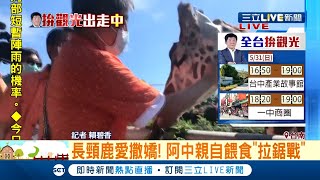 陳時中來台南動物園 與明星動物比人氣...長頸鹿愛撒嬌和水豚互動也萌翻鋼鐵部長│【玩樂freestyle】20200531│三立新聞台