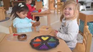 The Role of the Toddler Montessori Guide