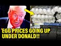 Trump LIES on Egg Prices BLOW UP in HIS FACE