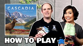 Cascadia - How to Play Board Game