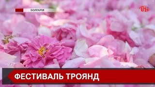 У Болгарії проводять фестиваль троянд