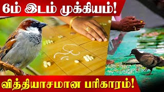 பறவைகள் சாபத்திற்கு ஆளான காவல்துறை உயர் அதிகாரி | Jothidam | Parikkaaram | Karma |