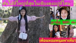 ขอบคุณ​เพื่อนหอมหนุ่มและพี่ใหม่พามาซื้อ​WiFi​และพาเที่ยว/น้องบัวหอง​เชียงตุง