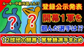 ルーキーや新外国人も！？１２球団の開幕１軍登録選手まとめ【ヤクルト】【阪神】【巨人】【広島】【中日】【横浜DeNA】【オリックス】【ロッテ】【楽天】【SB】【日ハム】【西武】