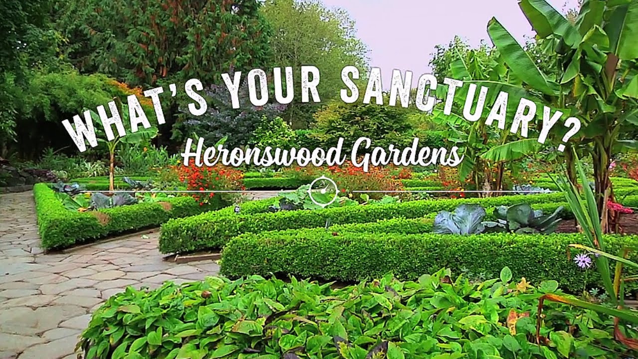 Heronswood Gardens Youtube