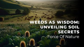 Weeds as Wisdom: Unveiling Soil Secrets| Force of Nature Podcast